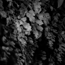 In-Canyons-130