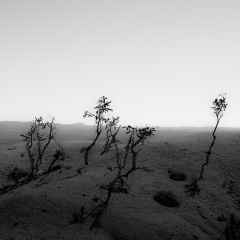 In-Canyons-122 In-Canyons-122