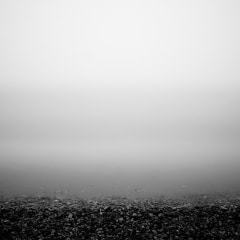 Lakeside-Fog-026
