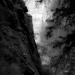 In-Canyons-126